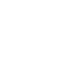 Rectum & Anus Pains